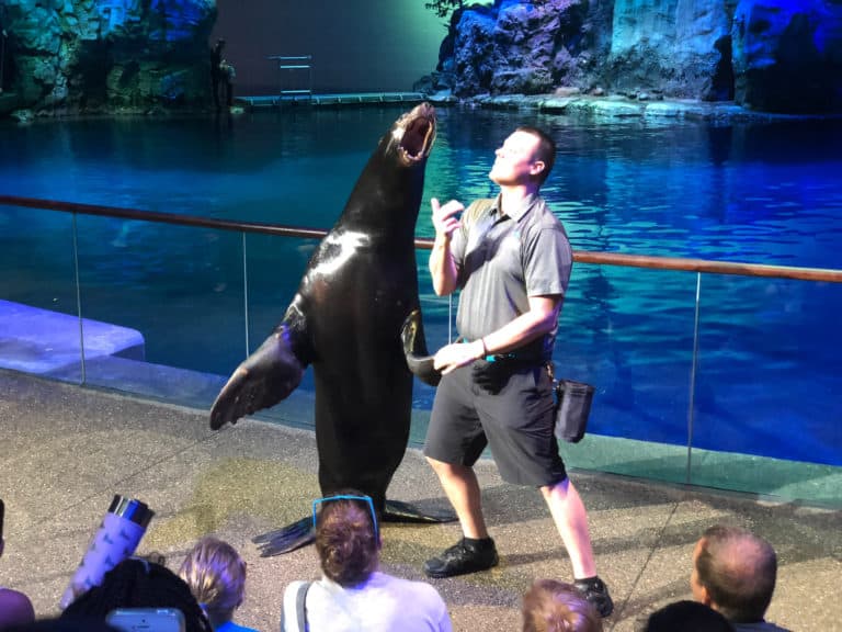 Shedd Aquarium Go Chicago